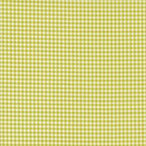 Shine Grass Gingham. Product thumbnail image