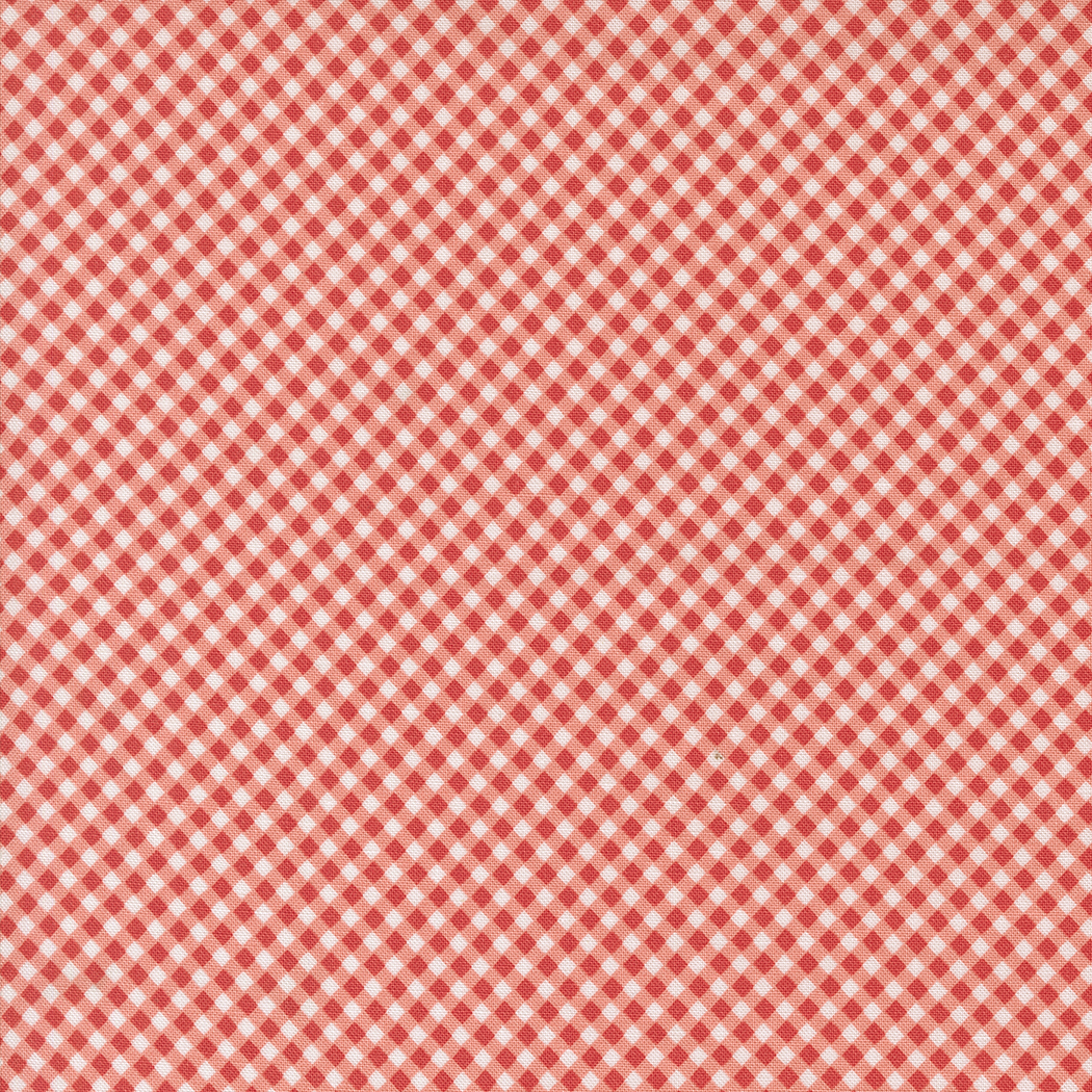 Raspberry Summer Carnation Gingham
