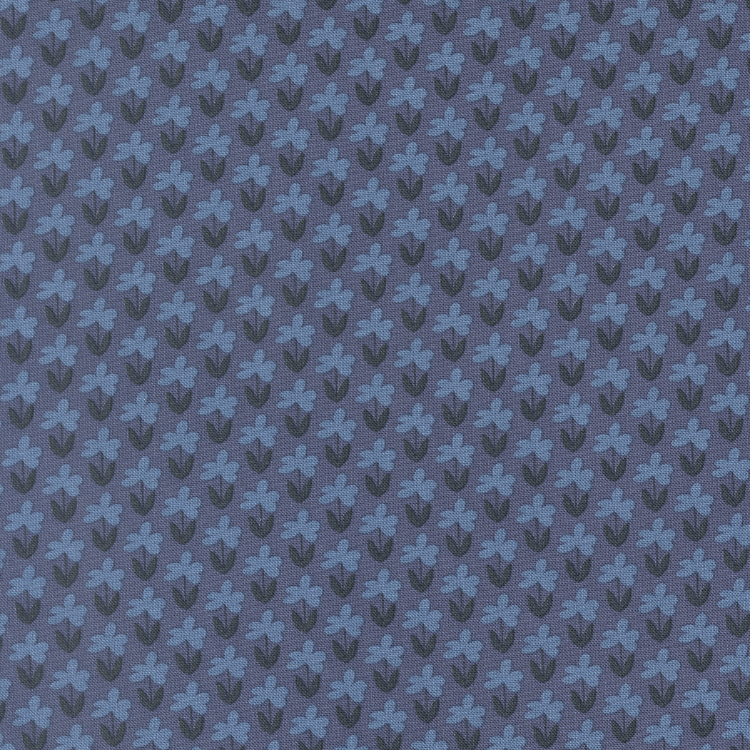 Scenery Denim