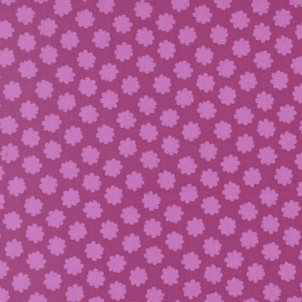 Scenery Passion Fruit
