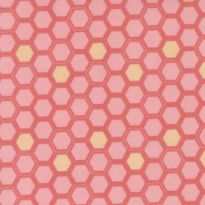 Honeyed Horizon Bee Hive!!